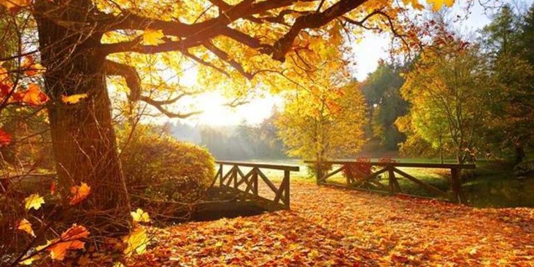 A New Way of Looking at Our Emotional Seasons – Autumn