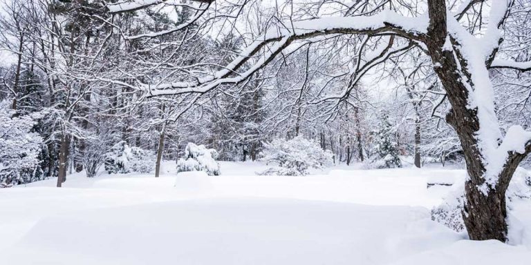 A New Way of Looking at Our Emotional Seasons – Winter